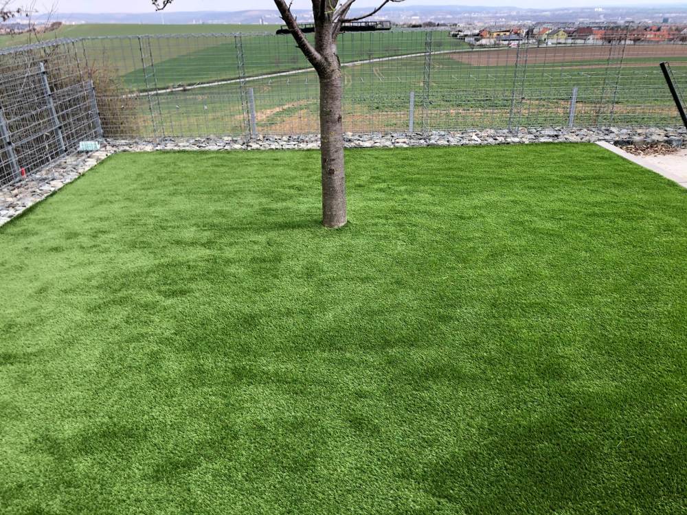 Příklad realizace dekorativní trávy na zahradách 6